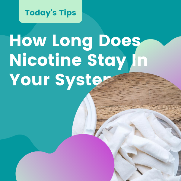 How long does nicotine stay in your system? – Buy Nicotine Pouches