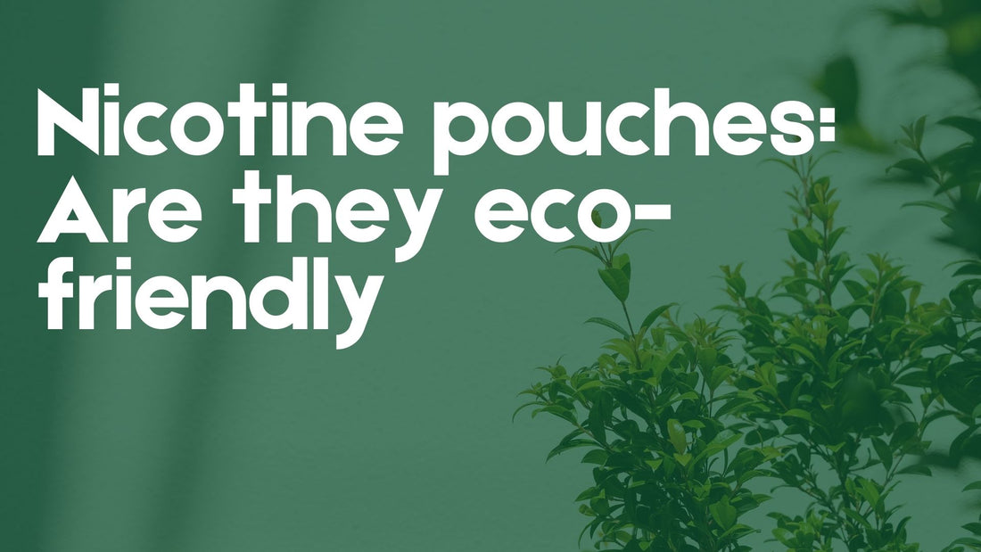 Nicotine pouches: Are they eco-friendly?