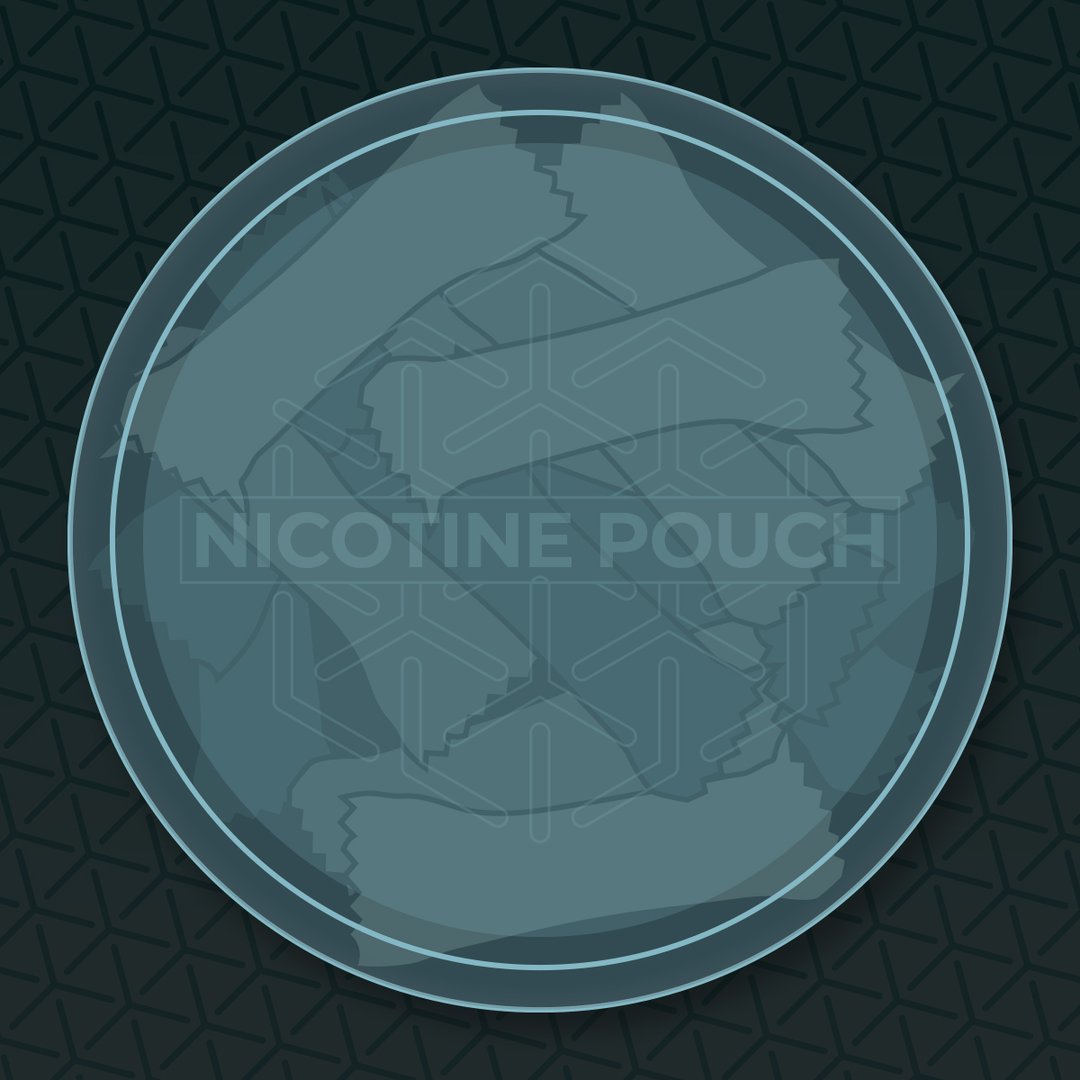 All About Nicotine Pouches