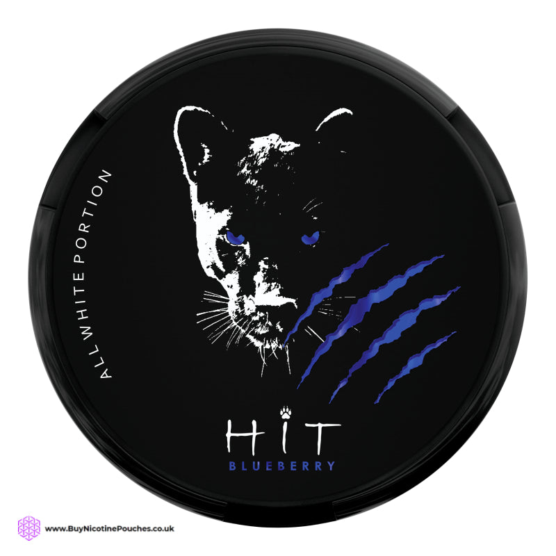 Blueberry Tight Nicotine Pouches by HIT 20MG