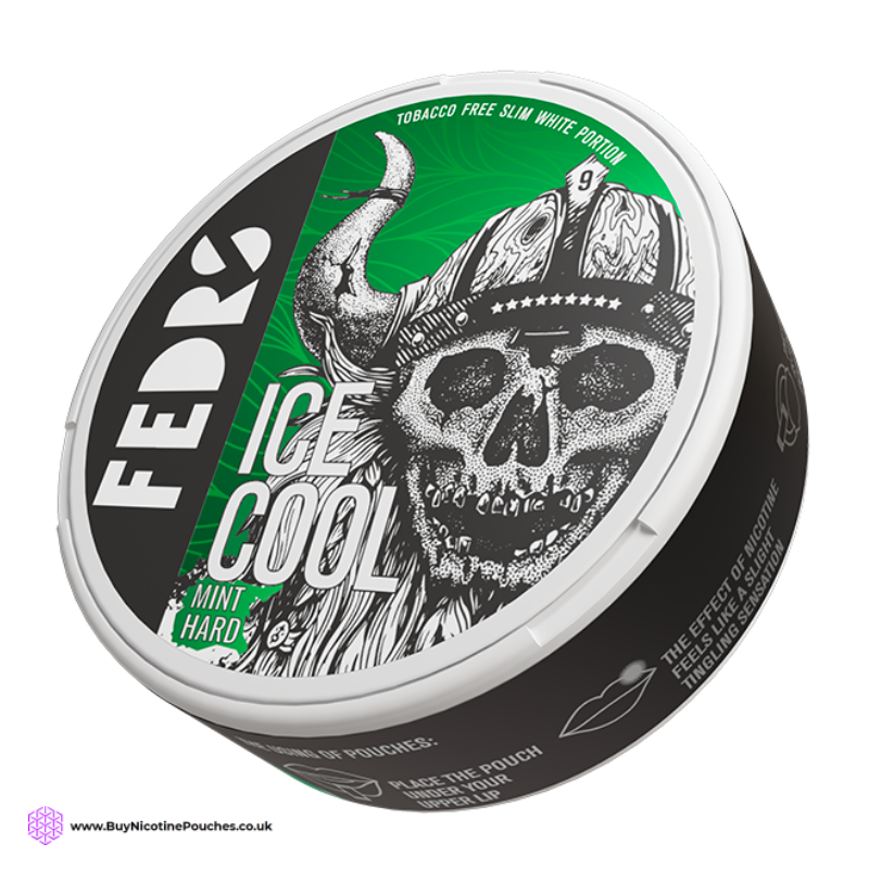 Ice Cool Mint Hard Nicotine Pouches by FEDRS 65MG
